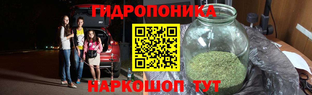 Канабис OG Kush Астрахань